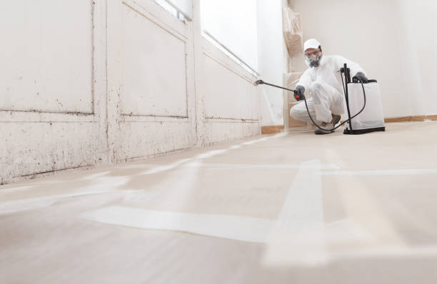 Mold Documentation for Insurance Claims in Kirby, TX